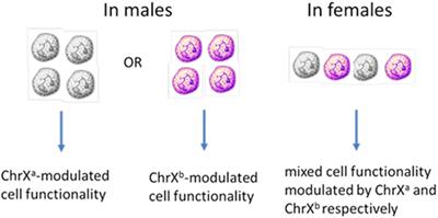 Inherent X-Linked Genetic Variability and Cellular Mosaicism Unique to Females Contribute to Sex-Related Differences in the Innate Immune Response